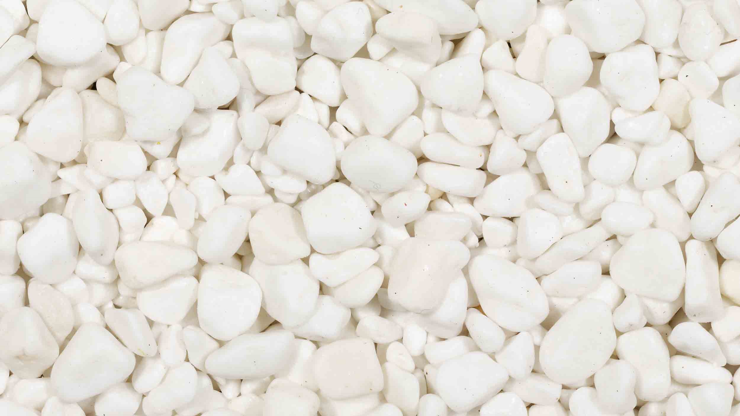 Polar White Kies